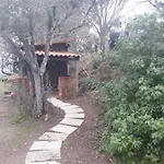 Da Oliveira