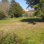 Da Oliveira *