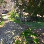 Da Oliveira