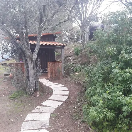 Da Oliveira