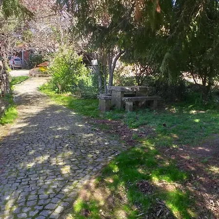 Da Oliveira