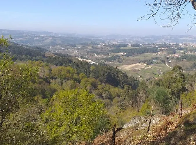 Da Oliveira Domek alpejski *