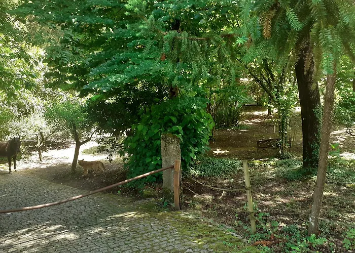 Domek alpejski Da Oliveira Marco de Canavezes